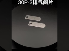 Προσαρμοσμένα μηχανικά μέρη υπηρεσιών που σφραγίζουν το πιάτο βαλβίδων μερών