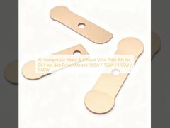 Συσκευές πλάκας βαλβίδας εισόδου και εξάτμισης αεροσυμπιεστή για μοντέλα χωρίς πετρέλαιο με ζώνη 550W / 750W / 1100W / 1500W