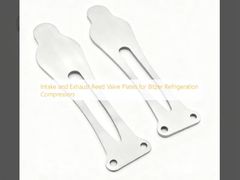 Πλάκες βαλβίδων εισόδου και εξάτμισης για ψυκτικούς συμπιεστές Bitzer