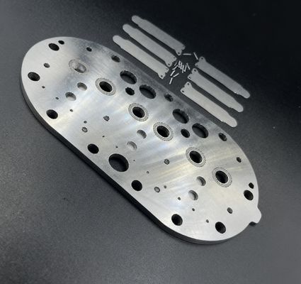 Συναρμολόγηση Πλάκας Βαλβίδας Συμπιεστή Ψύξης Copeland 15P & Πέταλα Βαλβίδας για Καταψύκτη Ψυκτικού Θαλάμου